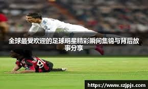 解析“价值下注窗口”（解读“价值下注窗口”）